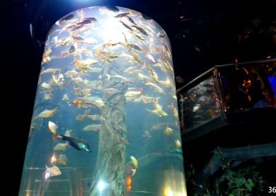 Aquaria KLCC