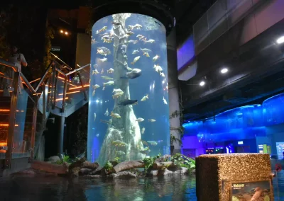 Aquaria KLCC