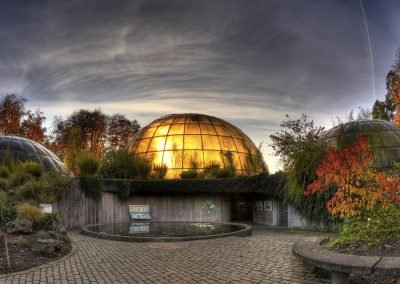 Zurich Botanical Garden