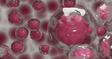 Stem Cell and Regenerative Medicine